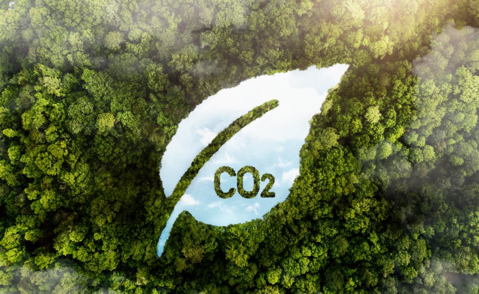 Nature-based carbon removal